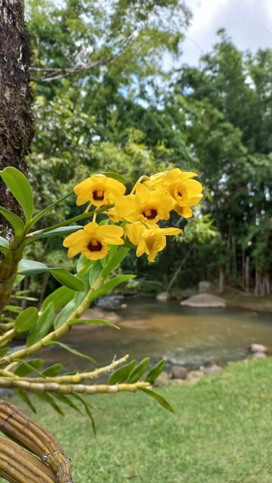 Pousada Vale Encantado Do Sana Macaé Exterior foto